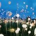 bruce munro, fields of light, ayers rock, uluru, australia green art, eco art, sustainable art, green lighting, led, led lighting, light emitting diodes, led flowers, sustainable design, green design
