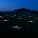 bruce munro, fields of light, ayers rock, uluru, australia green art, eco art, sustainable art, green lighting, led, led lighting, light emitting diodes, led flowers, sustainable design, green design