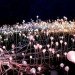 bruce munro, fields of light, ayers rock, uluru, australia green art, eco art, sustainable art, green lighting, led, led lighting, light emitting diodes, led flowers, sustainable design, green design
