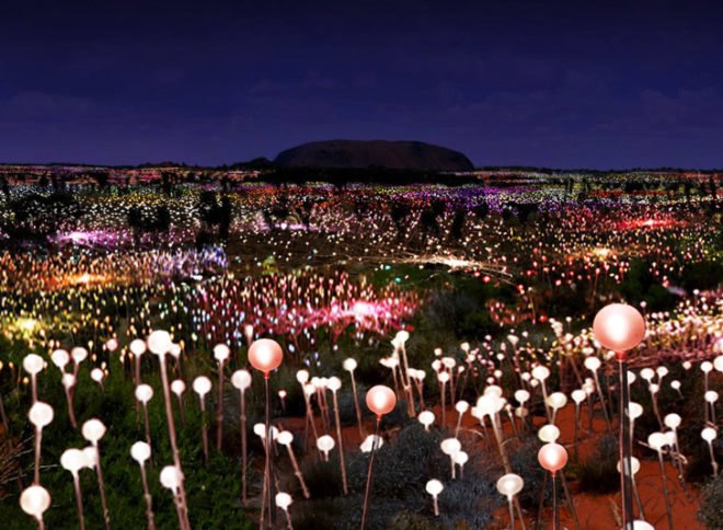 bruce munro, fields of light, ayers rock, uluru, australia green art, eco art, sustainable art, green lighting, led, led lighting, light emitting diodes, led flowers, sustainable design, green design