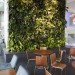 Corus Quay, Toronto, Corus Entertainment, Diamond Schmitt Architects, Living Wall, Vegetated Wall