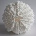 daniel macdonald, shio light, shiostudio, salt light, salt lamp, crystal formation