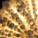 daniel macdonald, shio light, shiostudio, salt light, salt lamp, crystal formation