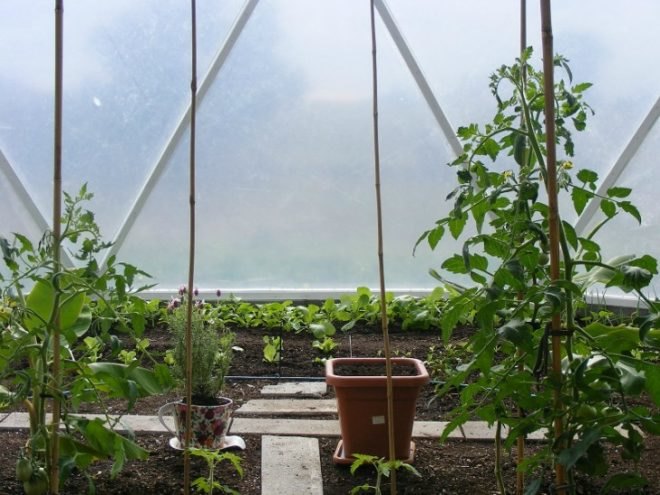domegrown, geodesic dome greenhouses, photosynthesis, green design, sustainable design, eco architecture, gardening