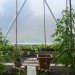 domegrown, geodesic dome greenhouses, photosynthesis, green design, sustainable design, eco architecture, gardening