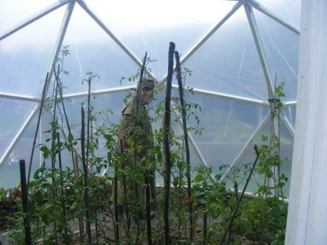 domegrown, geodesic dome greenhouses, photosynthesis, green design, sustainable design, eco architecture, gardening
