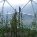 domegrown, geodesic dome greenhouses, photosynthesis, green design, sustainable design, eco architecture, gardening