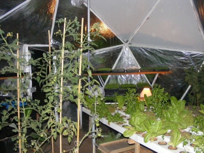 domegrown, geodesic dome greenhouses, photosynthesis, green design, sustainable design, eco architecture, gardening
