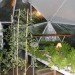 domegrown, geodesic dome greenhouses, photosynthesis, green design, sustainable design, eco architecture, gardening