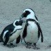 Father's Day at the Staten Island Zoo, Father's Day NYC, father's day, father's day gift ideas, father's day activities, father's day things to do in nyc, nyc events, things to do nyc, green events, green events nyc, green things to do for father's day, nyc activities
