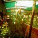 green urban lunch box, urban gardening, aquaponics, solar power, mobile garden, bus field, community gardening, sustainable design, urban farming, green design, eco gardening