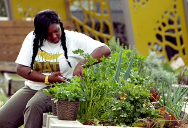 grow dat youth farm, grow dat program, new orleans, urban farms, urban agriculture, social enterprise, farmers markets, Tulane City Center, clean plate projects
