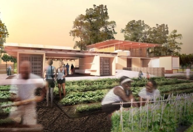 grow dat youth farm, grow dat program, new orleans, urban farms, urban agriculture, social enterprise, farmers markets, Tulane City Center, clean plate projects