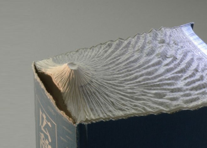 Guy Laramee, Guan Yin, book carvings, mountains, topographic, recycled books, art, Recycled Materials