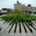 high line park, the high line, highline, high line explosion, explosion under the high line, gas explosion under high line, high line gas explosion, the high line park, chelsea explosion, new york news