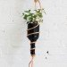 free green, diy herb garden, ben uyeda, recycled wine bottle herb garden, green design, sustainable design, green interiors, green gardening, urban gardening, container garden, sustainable interiors, recycled materials