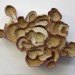 jonathan callan, book art, sustainable art, green artwork, recycled book artwork, book sculptures