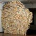 jonathan callan, book art, sustainable art, green artwork, recycled book artwork, book sculptures