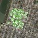 James Ewing Photography, OTTO Archive, Brad Pitt, Make it Right Foundation, NOLA, New Orleans, Lower 9th Ward, LEED, USGBC, green building, sustainable design, eco-design, green design, architecture, urban, humanitarian design