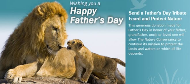 last minute father's day gifts, last minute fathers day, last minute gifts, diy father's day gifts, last minute father's day gift, cheap father’s day gifts, father’s day eco gifts, father’s day gifts, father’s day gifts of time, fathers day gift ideas, gifts of time, green father’s day, Green Fathers Day Gifts, green gifts, ideas for father’s day, sustainable father’s day, sustainable gifts for dads,