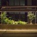 plant-in-city, med44, sound installation, urban planting, garden installation, terrariums, sustainabel art, green design, eco-artwork, nature artwork