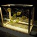 plant-in-city, med44, sound installation, urban planting, garden installation, terrariums, sustainabel art, green design, eco-artwork, nature artwork
