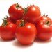 green design, eco design, sustainable design, dinosaur extinction, meteorite, tomato ancestors
