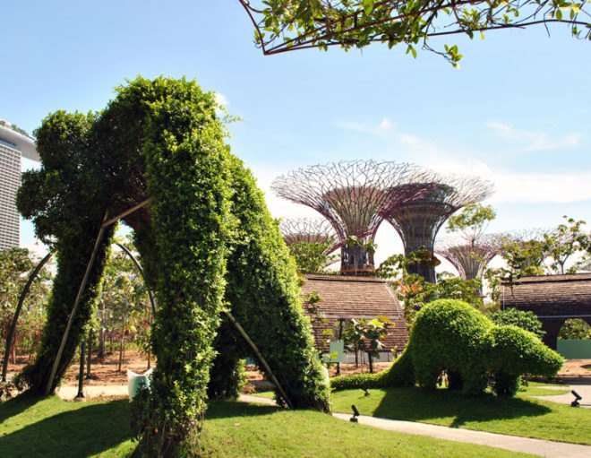 gardens by the bay, supertrees, singapore, grant associates, vertical gardening, solar technology, bay south garden, biofuels, photovoltaics, solar, sustainable architecture, green architecture,