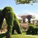 gardens by the bay, supertrees, singapore, grant associates, vertical gardening, solar technology, bay south garden, biofuels, photovoltaics, solar, sustainable architecture, green architecture,
