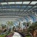 gardens by the bay, supertrees, singapore, grant associates, vertical gardening, solar technology, bay south garden, biofuels, photovoltaics, solar, sustainable architecture, green architecture,