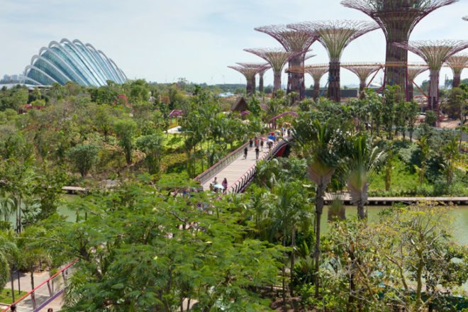 gardens by the bay, supertrees, singapore, grant associates, vertical gardening, solar technology, bay south garden, biofuels, photovoltaics, solar, sustainable architecture, green architecture,