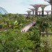 gardens by the bay, supertrees, singapore, grant associates, vertical gardening, solar technology, bay south garden, biofuels, photovoltaics, solar, sustainable architecture, green architecture,
