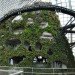 gardens by the bay, supertrees, singapore, grant associates, vertical gardening, solar technology, bay south garden, biofuels, photovoltaics, solar, sustainable architecture, green architecture,