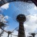 gardens by the bay, supertrees, singapore, grant associates, vertical gardening, solar technology, bay south garden, biofuels, photovoltaics, solar, sustainable architecture, green architecture,
