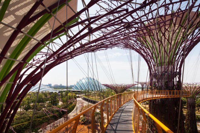 gardens by the bay, supertrees, singapore, grant associates, vertical gardening, solar technology, bay south garden, biofuels, photovoltaics, solar, sustainable architecture, green architecture,