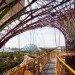 gardens by the bay, supertrees, singapore, grant associates, vertical gardening, solar technology, bay south garden, biofuels, photovoltaics, solar, sustainable architecture, green architecture,