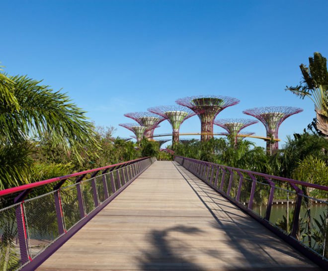 gardens by the bay, supertrees, singapore, grant associates, vertical gardening, solar technology, bay south garden, biofuels, photovoltaics, solar, sustainable architecture, green architecture,