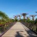 gardens by the bay, supertrees, singapore, grant associates, vertical gardening, solar technology, bay south garden, biofuels, photovoltaics, solar, sustainable architecture, green architecture,