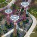 gardens by the bay, supertrees, singapore, grant associates, vertical gardening, solar technology, bay south garden, biofuels, photovoltaics, solar, sustainable architecture, green architecture,