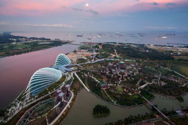 gardens by the bay, supertrees, singapore, grant associates, vertical gardening, solar technology, bay south garden, biofuels, photovoltaics, solar, sustainable architecture, green architecture,