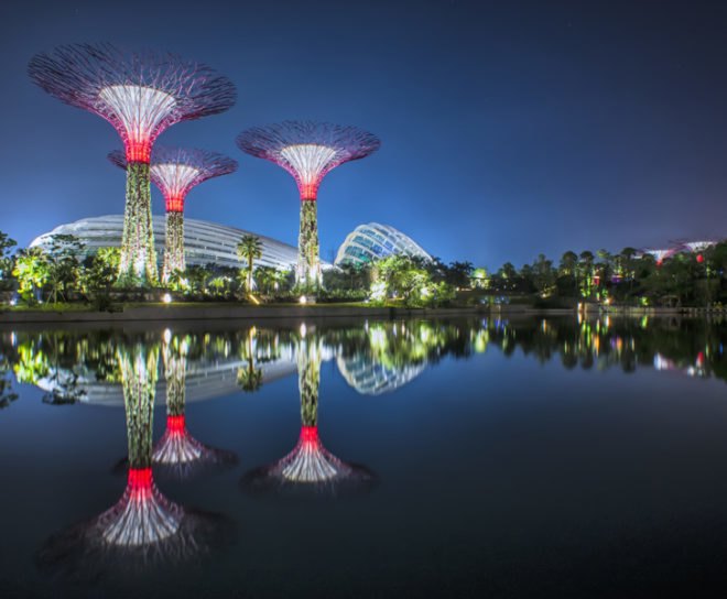 gardens by the bay, supertrees, singapore, grant associates, vertical gardening, solar technology, bay south garden, biofuels, photovoltaics, solar, sustainable architecture, green architecture,