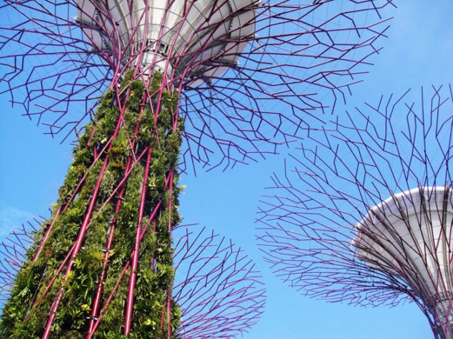 gardens by the bay, supertrees, singapore, grant associates, vertical gardening, solar technology, bay south garden, biofuels, photovoltaics, solar, sustainable architecture, green architecture,