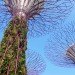 gardens by the bay, supertrees, singapore, grant associates, vertical gardening, solar technology, bay south garden, biofuels, photovoltaics, solar, sustainable architecture, green architecture,