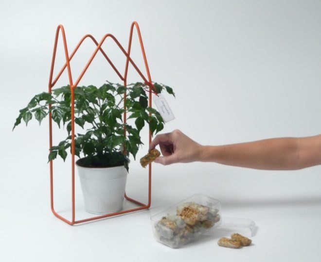 Urban Greenhouse, Audrey Charré, Clémentine Schmidt and Luc Beaussar, urban art, street art, urban design, sustainable design, green architecture, eco artwork, edible planting , urban gardening