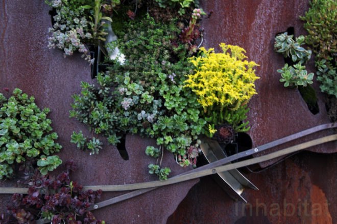 Watershed Wall, Toronto, Ferruccio Sardella, Evergreen Brick Works, Living Wall