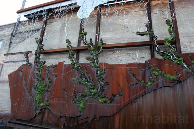 Watershed Wall, Toronto, Ferruccio Sardella, Evergreen Brick Works, Living Wall