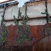 Watershed Wall, Toronto, Ferruccio Sardella, Evergreen Brick Works, Living Wall
