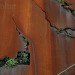 Watershed Wall, Toronto, Ferruccio Sardella, Evergreen Brick Works, Living Wall