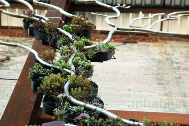 Watershed Wall, Toronto, Ferruccio Sardella, Evergreen Brick Works, Living Wall
