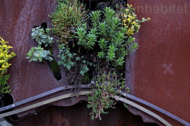 Watershed Wall, Toronto, Ferruccio Sardella, Evergreen Brick Works, Living Wall
